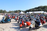 Vesbeachi 2024c